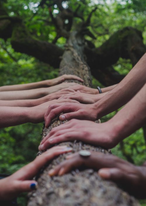 Gabarit IMG produit SNPN – Adhesion