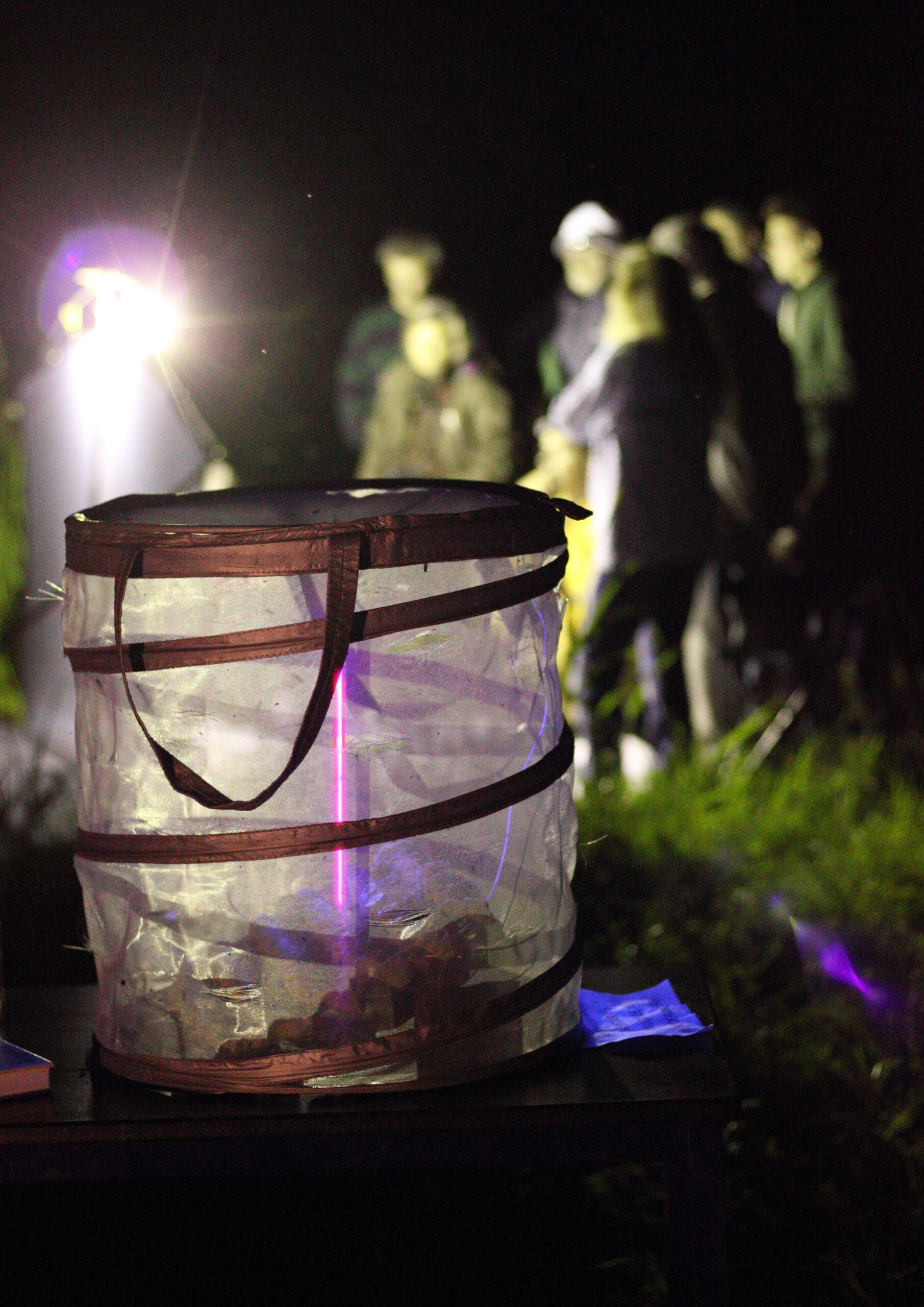 Visuel don – projets scientifiques